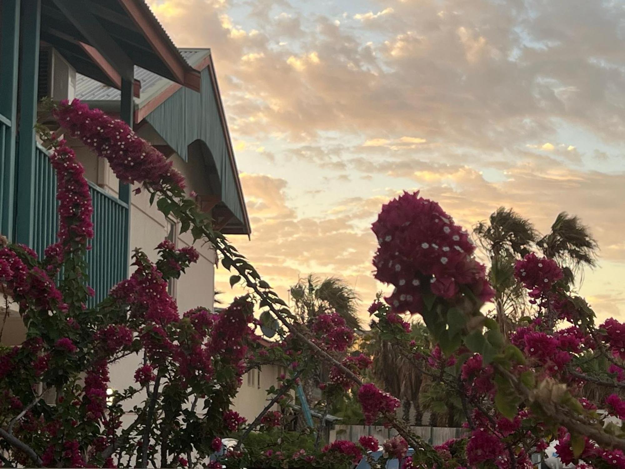 Heritage Resort Shark Bay Denham Exterior photo